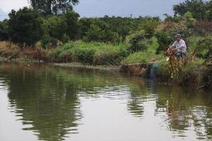 阿洋垂钓