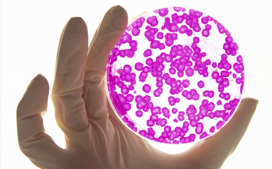 生物科研专业提供商