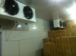 东阳500吨红枣冷库