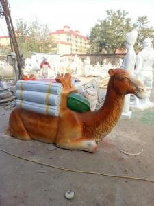 动物