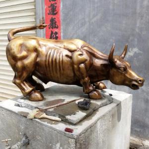 动物