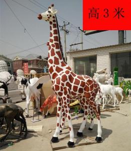 动物