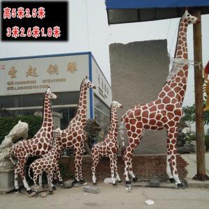 动物