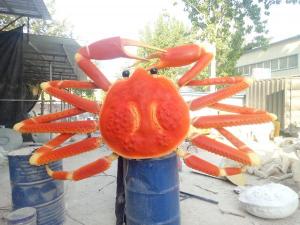 动物