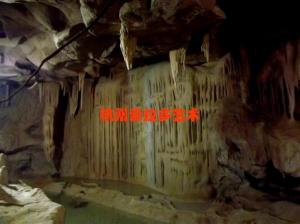 GRC假山仿真树