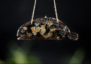 少儿陶艺手工作品