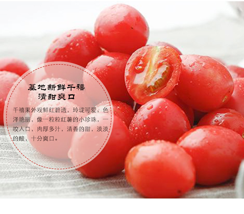 千禧番茄