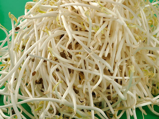 黄豆芽
