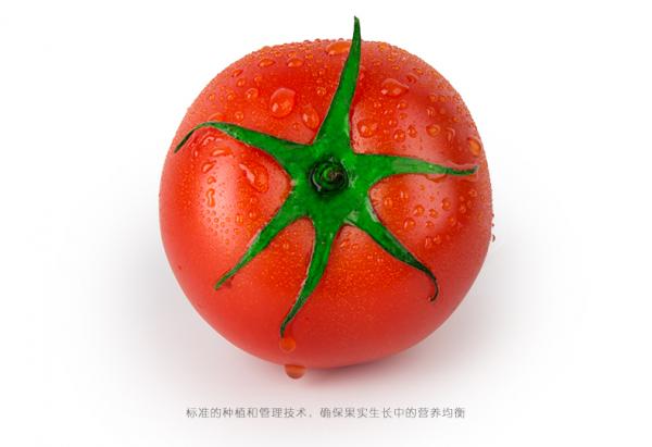 西红柿