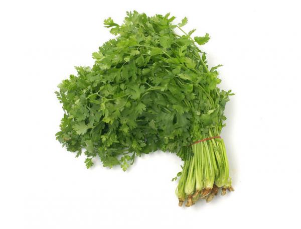 香菜