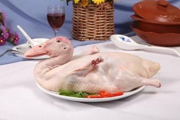 白鸭