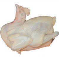 草鸡