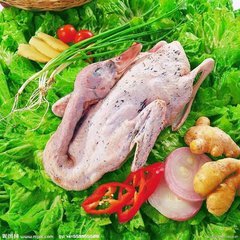 老鸭