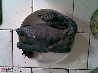 乌鸡