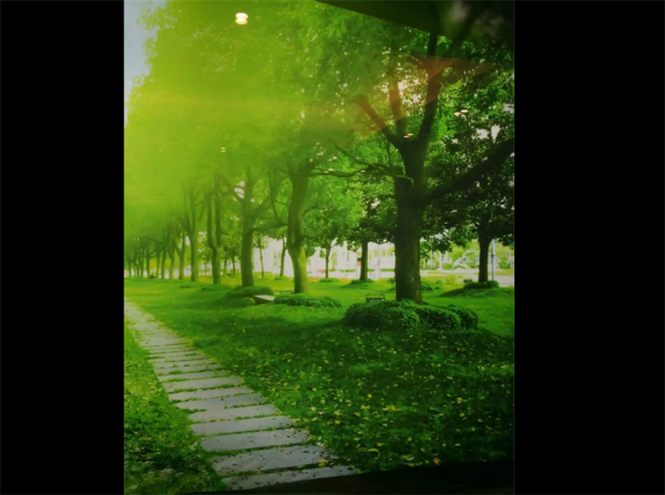 微信图片_20171026225407