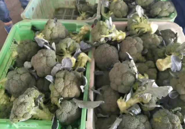 定西收购点