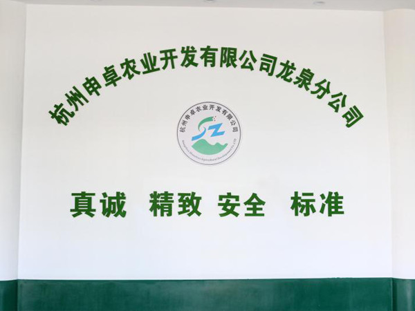 龙泉分公司