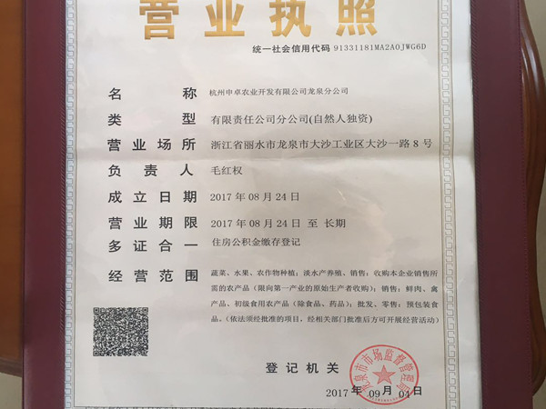 龙泉分公司营业执照