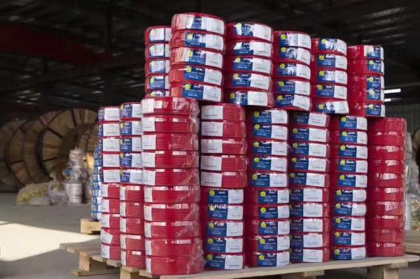 中策杭缆单芯线2