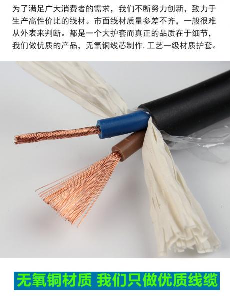 RVV监控电源线2