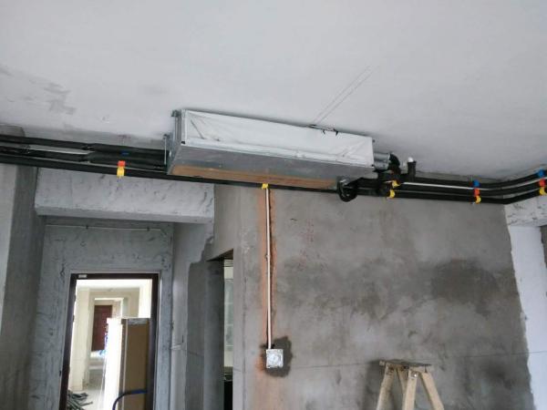 29ee77959fadd78499ed264deeb5077