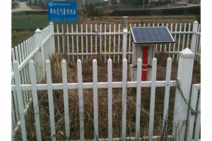 建德西红花基地