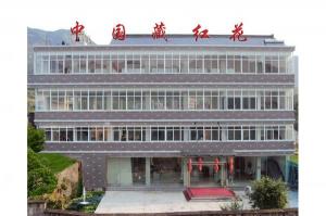 建德西红花基地