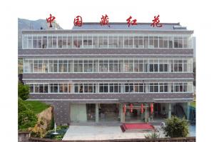 西红花展馆展示