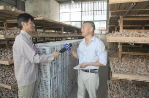电视台采访王根法