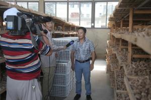 记者采访新品种购买者