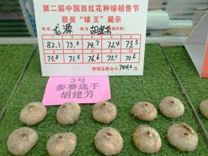 17年二届销售届图片
