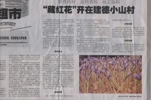 杭州日报报道