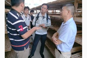 日本九州保健福祉大学渥美博士 (3)