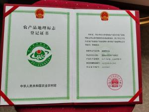 登记证书