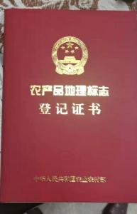 登记证书