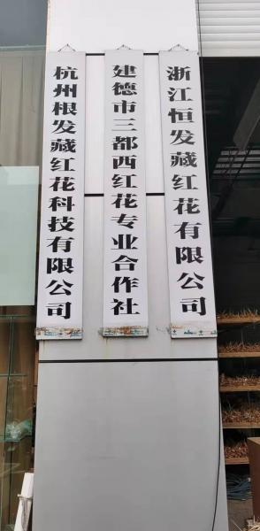 展馆展示