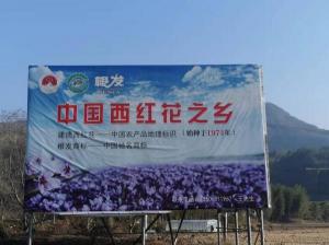 博物馆