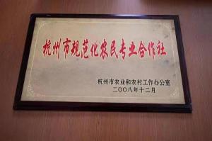 荣誉证书
