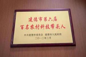 荣誉证书