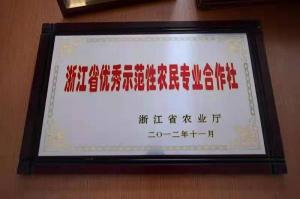 荣誉证书