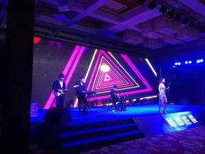 2017稻普控股有限公司新春年会