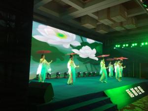 2017稻普控股有限公司新春年会