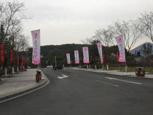 杭州江干第五届皋亭观桃节