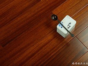 亚光圆盘豆浅黄