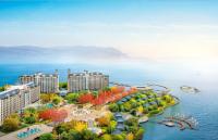 https://img3.epanshi.com/14151/news/simg/s-5e1812df15aa7.jpg