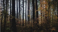 https://img3.epanshi.com/14151/news/simg/s-64d491a74f02a.png