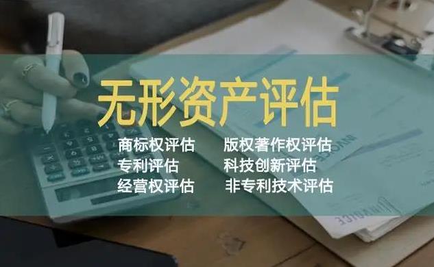 知识产权评估