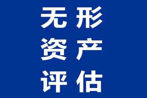 无形资产价格评估