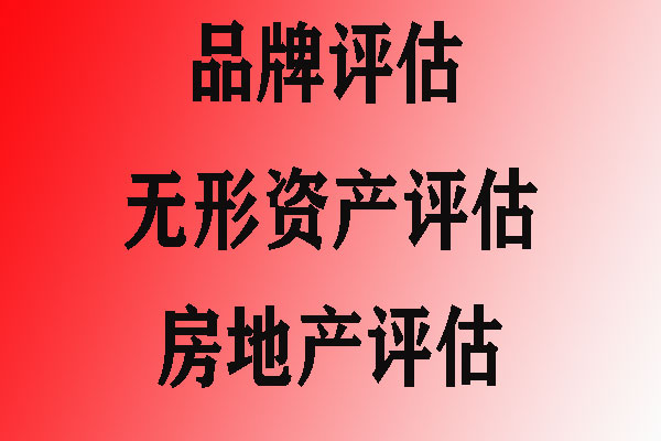 无形资产价格评估