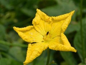 顾渚山风景区01